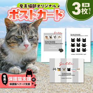 yӂ邳Ɣ[Łzy̕یLx یLt[h 10z{ |XgJ[h 3 Zbg 莆 LfUC LJtF یL L x cafeCOVOTANA  s  LO v[