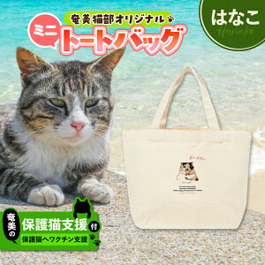 yӂ邳Ɣ[ŁzIׂ遄y̕یLx N`z{ ~jg[gobO g[gobO obO  Jo ΂ ٓ LoXn  LfUC LJtF یL L 