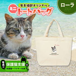 yӂ邳Ɣ[ŁzIׂ遄y̕یLx N`z{ ~jg[gobO g[gobO obO  Jo ΂ ٓ LoXn  LfUC LJtF یL L 