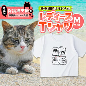 yӂ邳Ɣ[Łzy̕یLx یLt[h 10z{ fB[X TVc MTCY  m eB[Vc 100% Rbg  Jbg\[ gbvX LfUC LJtF یL L x