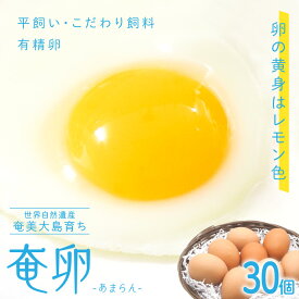 【ふるさと納税】 奄卵 （ あまらん ）〜 平飼い 有精卵 30個 卵 たまご 養鶏 鶏 奄美ファーム ふるさと納税 奄美市 おすすめ ランキング プレゼント ギフト