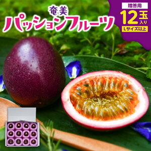 yӂ邳Ɣ[Łzy2026Ns\z  pbVt[c p 12ʓ pbV t[c ʕ 썑 fU[g  Ԍ  R  JNe [Og T_ LTC
