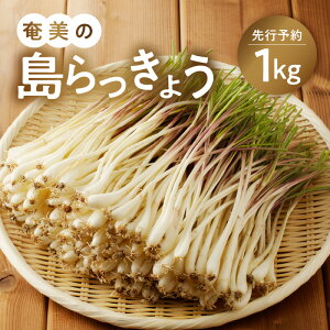 yӂ邳Ɣ[Łzy2026Ns\z ̓傤 1kg 傤 傤 s\ st s \ ܂ VՂ Y  POKAPUKA ӂ邳Ɣ[  s 