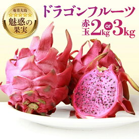 【ふるさと納税】【2025年先行予約】＜選べる＞ 奄美産 ドラゴンフルーツ 赤玉 2kg or 3kg 4玉 〜 12玉 フルーツ 果実 果物 南国 トロピカル 柔らかい サクサク 食感 甘い ビタミンC カリウム スムージー フラスコ 鹿児島 奄美市 おすすめ ランキング プレゼント ギフト