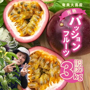 yӂ邳Ɣ[Łzy2026Ns\zIׂ遄 󂠂 n ̓   pbVt[c ƒp 1kg or 3kg  Fނ炠 TCY pbV ʕ t[c ʎ 썑   A