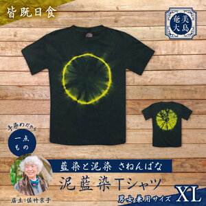 【ふるさと納税】<選べるデザイン&サイズ> 藍染 Tシャツ ティーシャツ シャツ 服 洋服 ファッション 藍染 一点物 大島紬 手作り 手染め オンリーワン 世界に一つ おしゃれ 贈り物 職人 柄