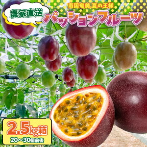 �y�ӂ邳�Ɣ[�Łz�y2026�N��s�\��z �_�ƒ��� �p�b�V�����t���[�c 2.5kg �� �ƒ�p �T�C�Y���� �p�b�V���� �t���[�c �ʕ� �ʎ� �g���s�J���t���[�c ���Ԍ��� ���� ��� ���� �Î_���ς� ����