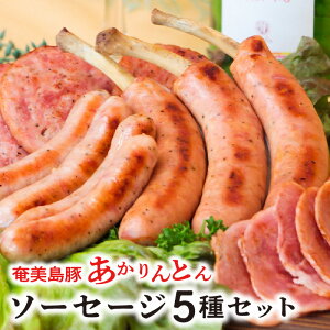 yӂ邳Ɣ[ŁzyerŏЉzƂ 哇  100gp IWi \[Z[W 5   ؓ  lߍ킹 Zbg n {Xn BBQ  s JCZC O
