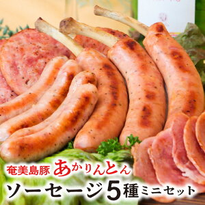 yӂ邳Ɣ[ŁzyerԑgŏЉzƂ \[Z[W 5 ~j Zbg 哇  100gp IWi   ؓ  lߍ킹 n X[N W{tN {