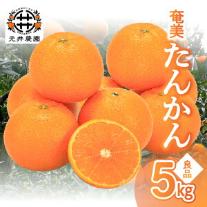 yӂ邳Ɣ[Łzy2026Ns\zyԌz 񂩂 Ǖi 5kg ƒp ݂  k ʕ t[c ʌ 哇 W[V[ F Â _ ʏ`  J ґ 