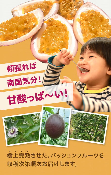 楽天市場】【ふるさと納税】【2026年先行予約】 農薬 化学肥料不使用 