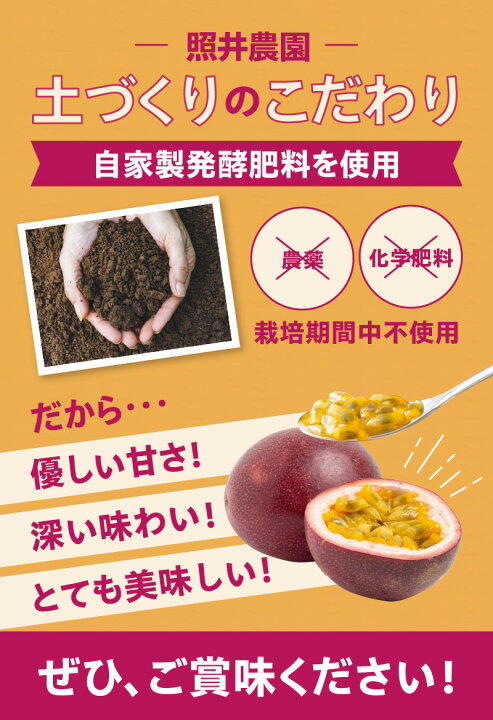 楽天市場】【ふるさと納税】【2026年先行予約】 農薬 化学肥料不使用 