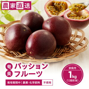 yӂ邳Ɣ[Łzy2026Ns\z _ w엿sgp  pbVt[c 1kg 12O ƒp ʕ t[c gsJt[c 썑t[c Ɛy엿 _ƒ ƒp 