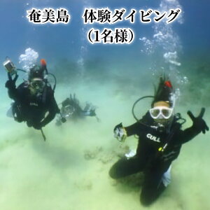 yӂ邳Ɣ[Łz_CrO 1l  ̌_CrO ̌ `Pbg ANeBreB C }ANeBreB {[g 2.5 v\ 16l  s ANeBreB ^