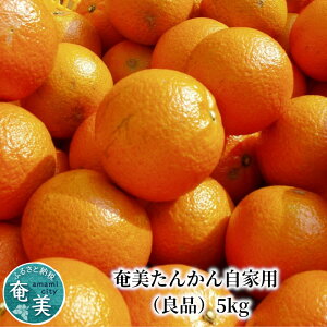 �y�ӂ邳�Ɣ[�Łz�y2026�N���� ��s�\��z ���� ���񂩂� ���Ɨp �Ǖi 5kg �^���J�� ���k �݂��� �ʕ� �t���[�c ���� ���� ���� �ʎ� �W���[�V�[ �Â� �_�� ���i�� �������� �ƒ�p ����p JA ��