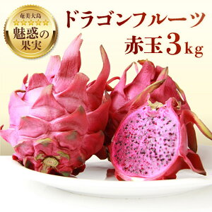 yӂ邳Ɣ[Łzy2025Ns\zIׂ遄 Y hSt[c ԋ 2kg or 3kg 4 ` 12 t[c ʎ ʕ 썑 gsJ _炩 TNTN H Â r^~C JE X