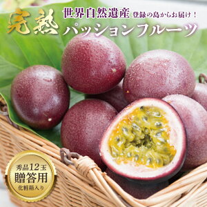 yӂ邳Ɣ[Łzy2026s\z 哇Y pbVt[c 1kg 12 p ϔ Gi pbV t[c ʕ gsJ 썑 Â Ö _ Ǐn fU[g tXR ӂ邳
