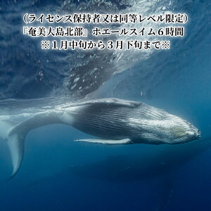 yӂ邳Ɣ[Łz哇k zG[XC 6 UgENW ώ@ cA[ 1l p `Pbg 1{  3{ ܂ CZXێ x  ANeBreB ̌ 