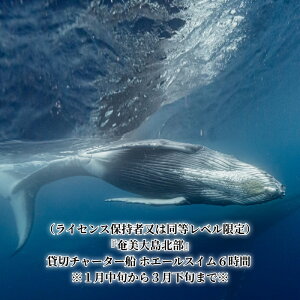 yӂ邳Ɣ[Łz哇k ݐ؃`[^[D 1 zG[XC 6 UgENW ώ@ cA[ EHb`O \ CZXێ x  ANeBreB D ̌ NW 