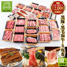 【ふるさと納税】定期便 10回 鹿児島 黒毛和牛 黒豚 うなぎ 豚肉 牛肉 肉 生ハム 切落し 和牛 すき焼き ロース ステーキ ハンバーグ ソーセージ しゃぶしゃぶ 生姜焼き 合挽メンチカツ カルビ バラ 味噌ホルモン ホルモン お取り寄せ グルメ 鹿児島県 南九州市 送料無料