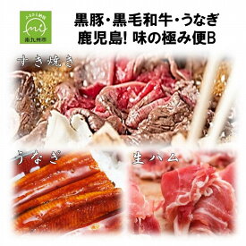 【ふるさと納税】【翌月発送】黒豚 黒毛和牛 うなぎ 鹿児島 味の極み便B すき焼き セット 牛 300g 蒲焼 1尾 豚 生ハム 切落し 100g エコパック 詰め合わせ スタミナアップ お取り寄せ グルメ 鹿児島県産 南九州市 送料無料