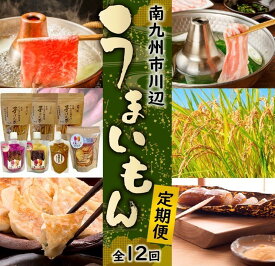 【ふるさと納税】定期便 12回 南九州市川辺 うまいもん定期便 地鶏 鶏刺し 醤油 白だし ぽん酢 味噌 かわなべ牛 しゃぶしゃぶ用 ロース バラ スライス あくまき 黒さつま鶏 芋けんぴ 餃子 佃煮 新米 焼酎 加工品 鹿児島県 南九州市 お取り寄せ お取り寄せグルメ 送料無料