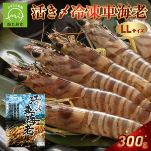 yӂ邳Ɣ[ŁzYⓀԊCVLLTCY