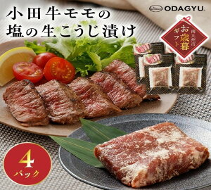 yӂ邳Ɣ[ŁzyΕɁzc̉̐Ђ4pbN