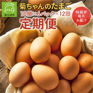 yӂ邳Ɣ[Łz 12 ê܂  10 × 6pbN  I  Y Y VN Z RN | NxQ _꒼  { ԗ  Ă ڋʏĂ 