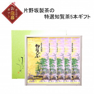 yӂ邳Ɣ[ŁzyΕɁzЖ␻̓Im5{Mtg