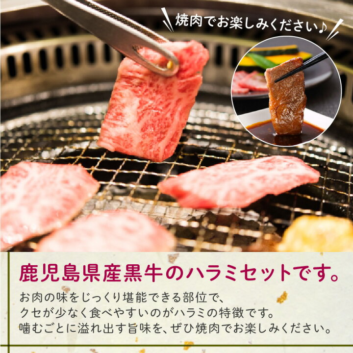 9750円 【期間限定!最安値挑戦】 ふるさと納税 065-06 鹿児島県産黒毛和牛ハラミ300g 鹿児島県南九州市 9750円 【期間限定!最安値挑戦】 ふるさと納税 065-06 鹿児島県産黒毛和牛ハラミ300g 鹿児島県南九州市