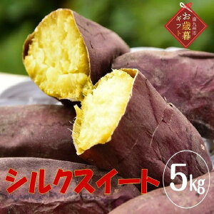 yӂ邳Ɣ[ŁzyΕɁz܂uVNXC[gv5kg