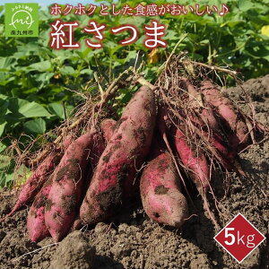 yӂ邳Ɣ[Łz܂ug܁v5kg