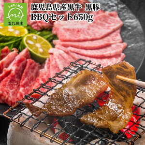 yӂ邳Ɣ[ŁzY BBQZbg650g