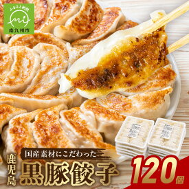 【ふるさと納税】高評価 餃子 黒豚餃子 16g × 12個 × 10パック 計120個 鹿児島黒豚 100% 焼き方 説明書付 しっとり やわらかい 旨味 ジューシー さっぱり 国産 厳選 素材 あふれる肉汁 もちもち おつまみ 惣菜 おかず 冷凍 お取り寄せ グルメ 鹿児島県 南九州市 送料無料