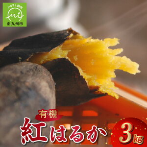 yӂ邳Ɣ[ŁzyL@JASFz܂ug͂邩v3kg