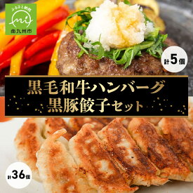 【ふるさと納税】国産 黒毛和牛ハンバーグ 150g × 5個 黒豚餃子 12個入 × 3P セット 肉の専門店 黒毛和牛 黒豚 ハンバーグ 餃子 無添加のたれ付き 冷凍 株式会社カキウチ お取り寄せ お取り寄せグルメ 鹿児島県産 南九州市 送料無料