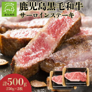 yӂ邳Ɣ[ŁzԌ  јa T[C Xe[L 250g×2 v500g g ~ T[CXe[L 嗝  _炩    | т̂   O