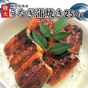 yӂ邳Ɣ[ŁzuvYȂĂ250g(^t)