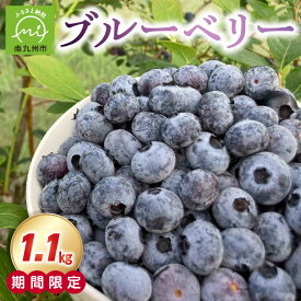 【ふるさと納税】食べごろの選び抜かれたブルーベリー1.1kg ブルーベリー 果物 食べごろ 新鮮 フルーツ 期間限定 鹿児島県産 南九州市 送料無料