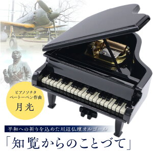 yӂ邳Ɣ[ŁzIS[um̂ƂÂāv