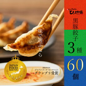 【ふるさと納税】ひぃ坊家の黒豚餃子3種60個(タレ付)【配送不可地域：離島】【1185904】