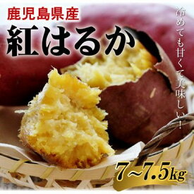 【ふるさと納税】鹿児島県産紅はるか7～7.5kg【1767210】