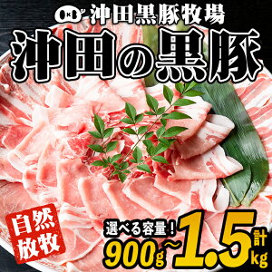 yӂ邳Ɣ[ŁzeʂIׂIYI̍Ec̍(v900g or 1.5kgE[XA[XAoAAEf) Y BY     ؓ IĂ 傤Ă 