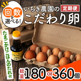 【ふるさと納税】＜回数を選べる定期便＞いちき農園のこだわり卵(総量180個 or 360個) 平飼い 鶏 たまご 低コレステロール 無添加 抗生物質不使用 卵かけご飯 TKG【いちき農園】【F0-01・isa196】