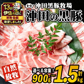 【ふるさと納税】【伊佐の日・寄附額改定】＜容量を選べる！＞鹿児島県産！幻の黒・沖田の黒豚(計900g or 1.5kg・ロース、肩ロース、バラ、モモ、ウデ) 国産 九州産 鹿児島 肉 お肉 黒豚 豚肉 生姜焼き しょうが焼き しゃぶしゃぶ 冷凍 冷凍便【沖田黒豚牧場】
