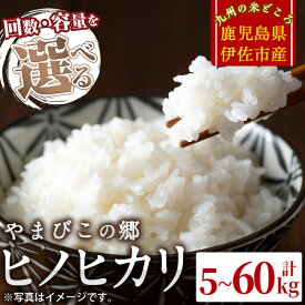 【ふるさと納税】≪回数・容量を選べる≫特別栽培ヒノヒカリ(5kg/10kg × 1回 or 6回) 鹿児島 お米 米 白米 精米 伊佐米 ひのひかり【やまびこの郷】