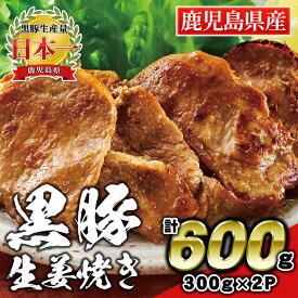 【ふるさと納税】鹿児島県産 黒豚生姜焼き(計600g・300g×2パック) 黒豚 豚 ぶた 肉 ロース 生姜 味付 惣菜 夕飯 おかず 焼くだけ 簡単調理 冷凍 【財宝】