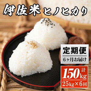 yӂ邳Ɣ[ŁzyցzYIɍăqmqJ(v150kgE25kg×6) Y   ɍ   Ђ̂Ђ ցy_Xz