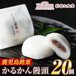 【ふるさと納税】《毎月数量限定》かるかん饅頭(20個)鹿児島の伝統菓子軽羹のセット!贈り物・ご進物にも【新富大生堂】